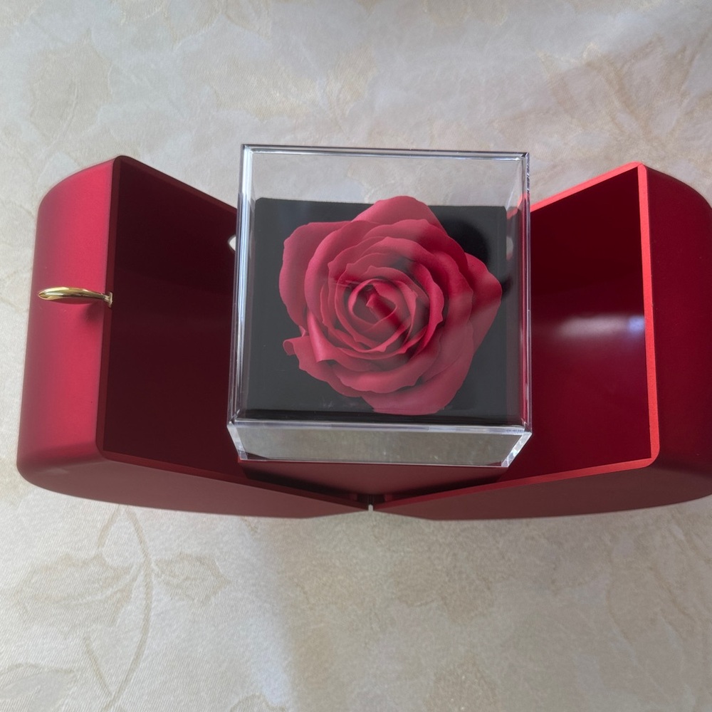 Apple Gift Box - Picture 4 of 15